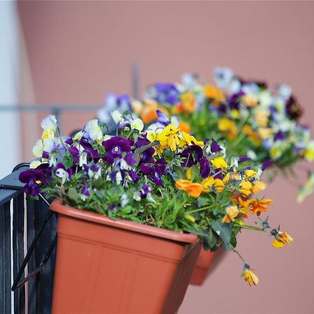 Bed and Breakfast Il Giardino Segreto Sorrent Exterior foto