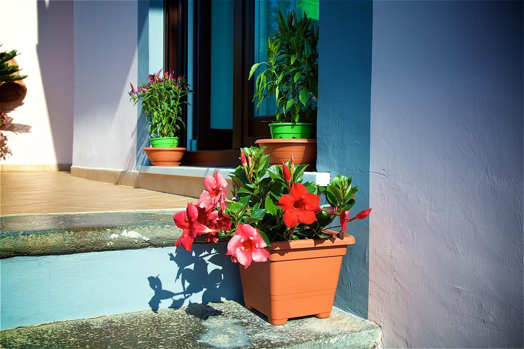 Bed and Breakfast Il Giardino Segreto Sorrent Exterior foto